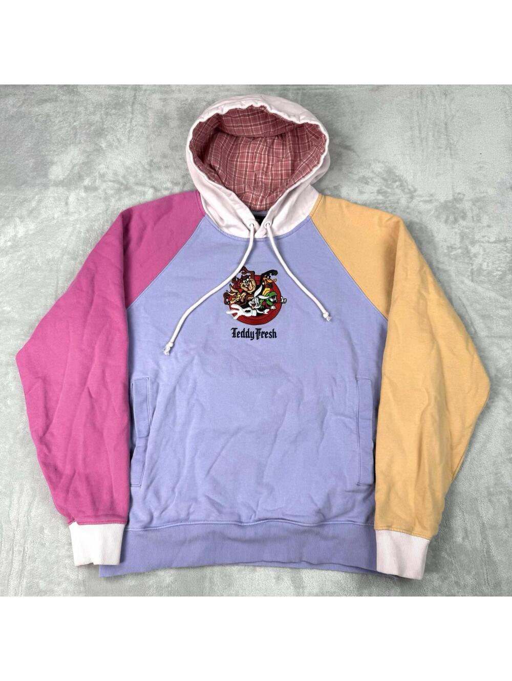 Teddy Fresh x Looney Tunes Colorblock Hoodie Size M Embroidered Graphic Fleece